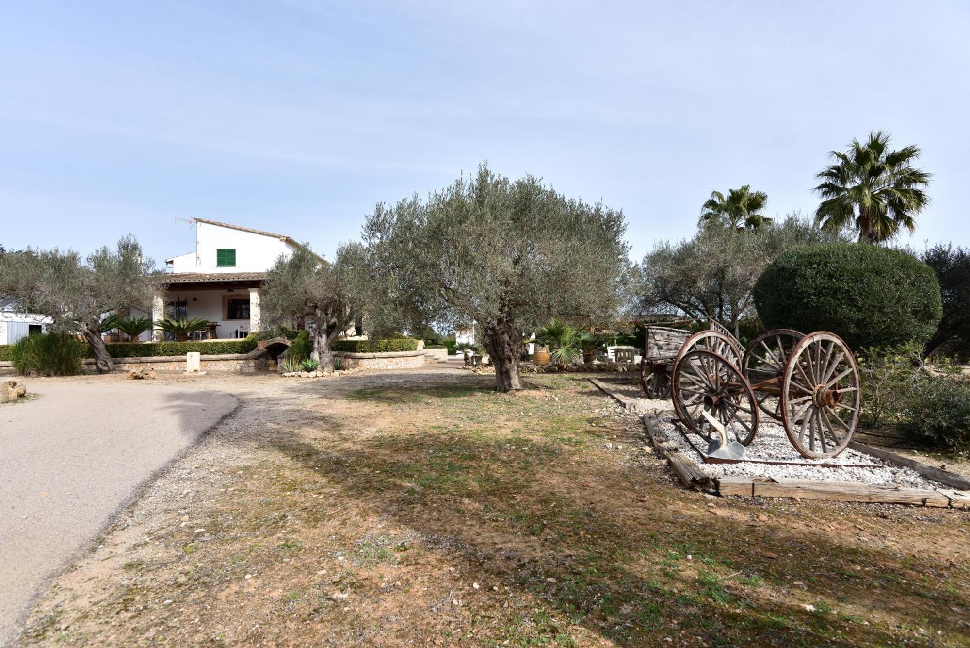 Sa Tanca Gran Vila Sineu  Exterior foto