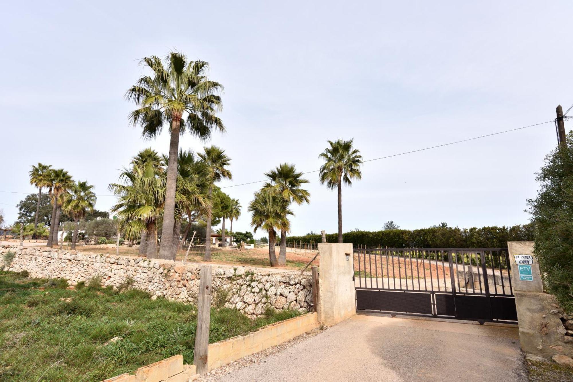 Sa Tanca Gran Vila Sineu  Exterior foto